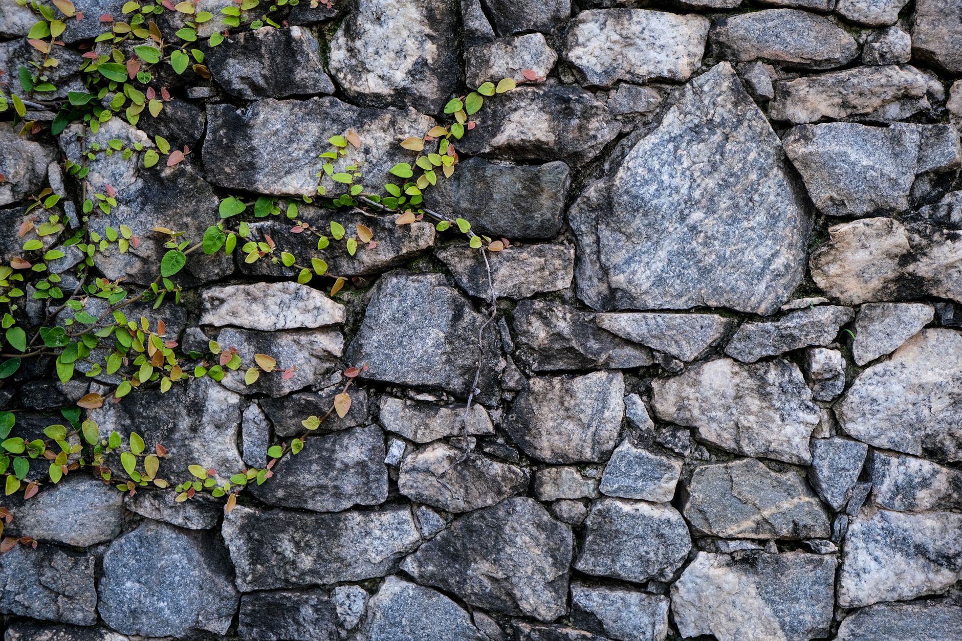 Ouverture de mur porteur